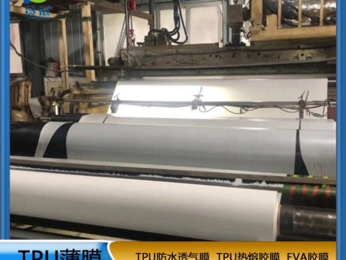 tpu膜白色霧面防水透氣膜復(fù)合布料紡織移印 等功能性薄膜廠(chǎng)家直銷(xiāo)